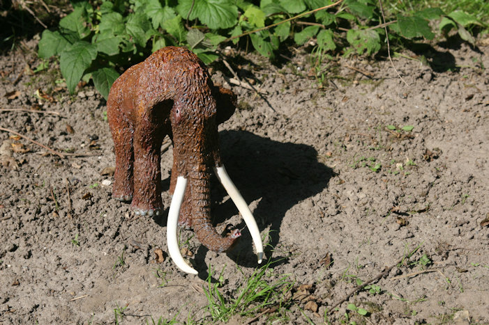 Mammut